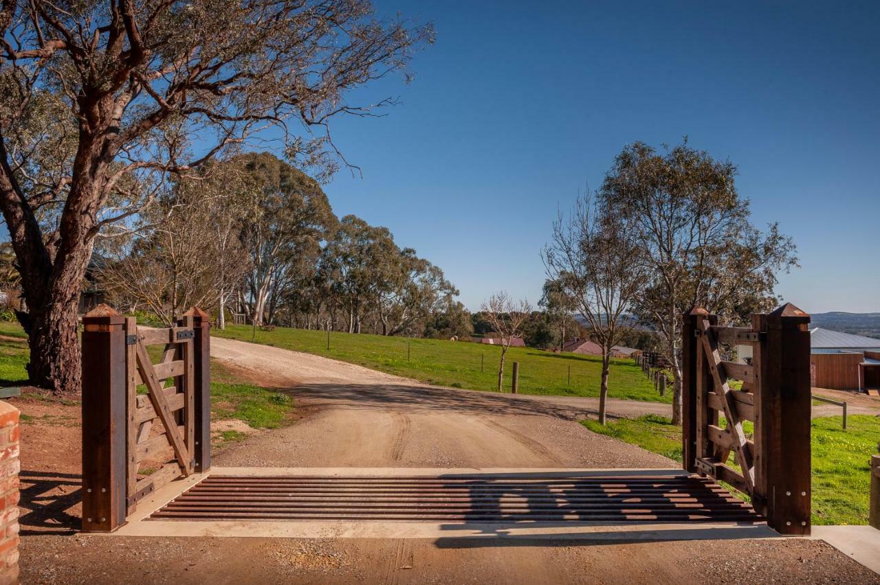 Angaston Saleyards Luxury Accommodation ภายนอก รูปภาพ